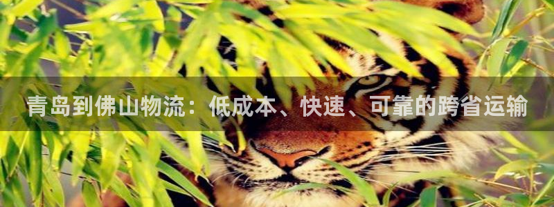 28圈提款一直没到：青岛到佛山物流：