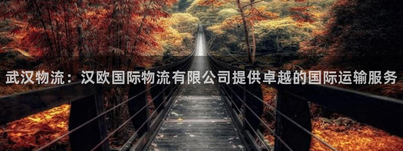 28圈人工客服电话是什么：武汉物流：