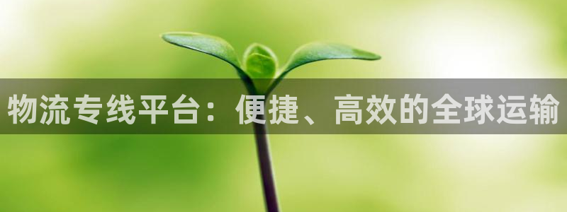 28圈游戏官网入口