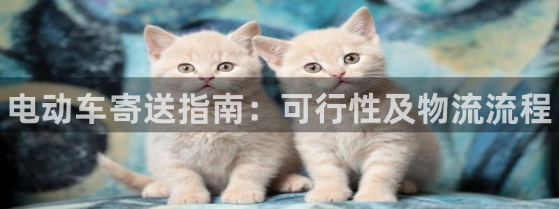28圈注册网站多少钱一个：电动车寄送
