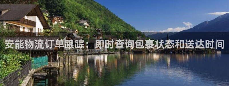 28圈下载不了：安能物流订单跟踪：即