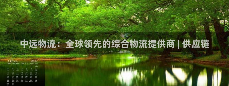 28圈ccm官网版：中远物流：全球领