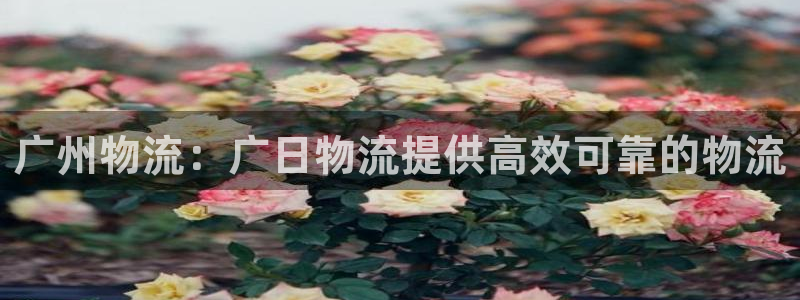 28圈技巧：广州物流：广日物流提供高