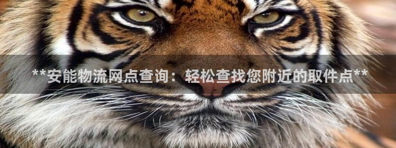 28圈为什么没有赢过一次： **安能