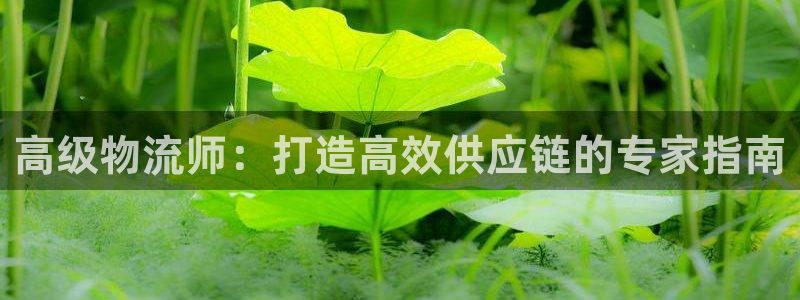 28圈注册网站链接怎么弄：高级物流师
