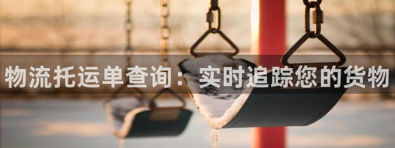 28圈的自行车：物流托运单查询：实时