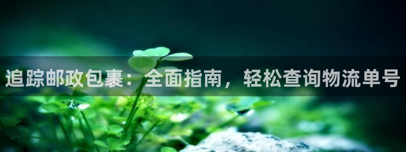 28圈下载体育：追踪邮政包裹：全面指