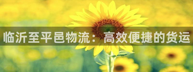 28圈游戏：临沂至平邑物流：高效便捷