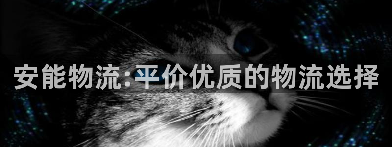 28圈注册登录：安能物流:平价优质的