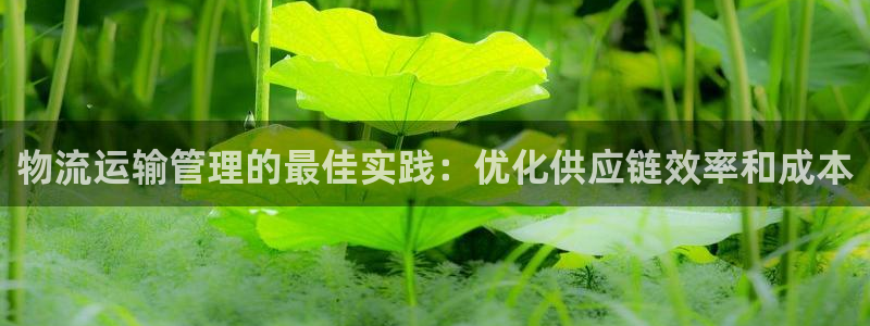 28圈注册地址：物流运输管理的最佳实
