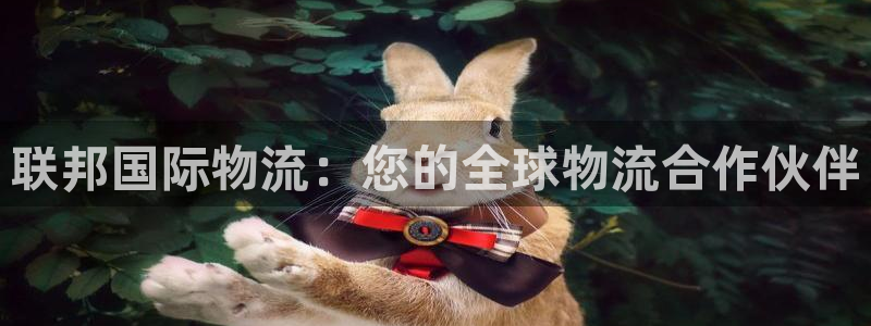 28圈充值为什么充不了：联邦国际物流