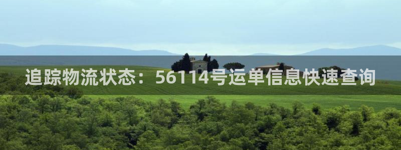 28圈注册网站谁有：追踪物流状态：5