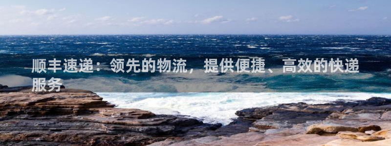 28圈官方：顺丰速递：领先的物流，提