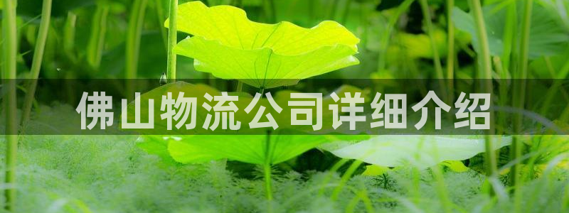 28圈官方平台：佛山物流公司详细介绍