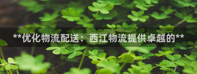 28圈怎么下载教程：**优化物流配送