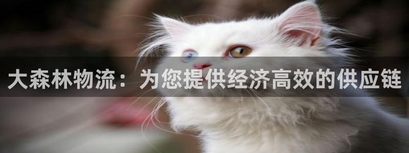 28圈开奖预测：大森林物流：为您提供
