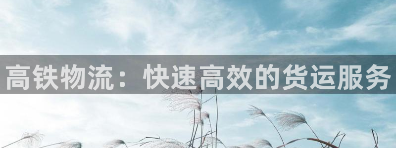 28圈在线预测：高铁物流：快速高效的