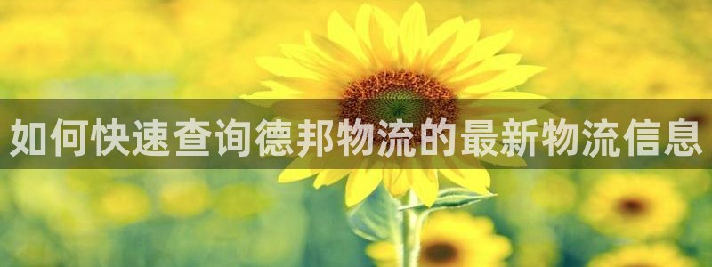 28圈登录用户名登录不上：如何快速查