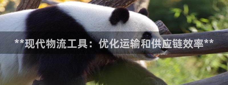 28圈官网开奖结果预测查询：**现代