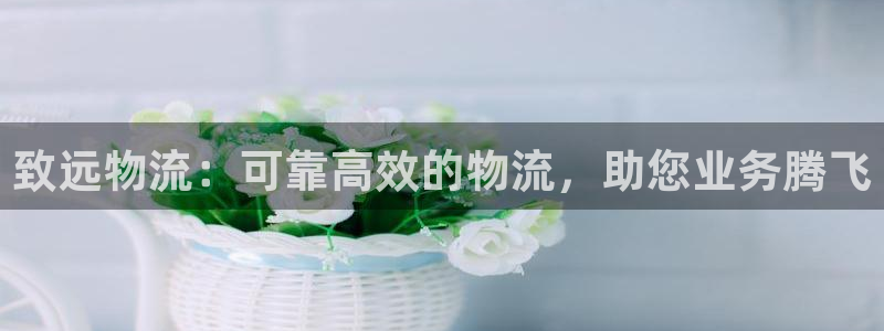 28圈犯法吗：致远物流：可靠高效的物