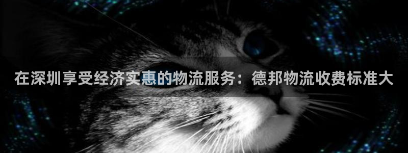 28圈注册网址：在深圳享受经济实惠的
