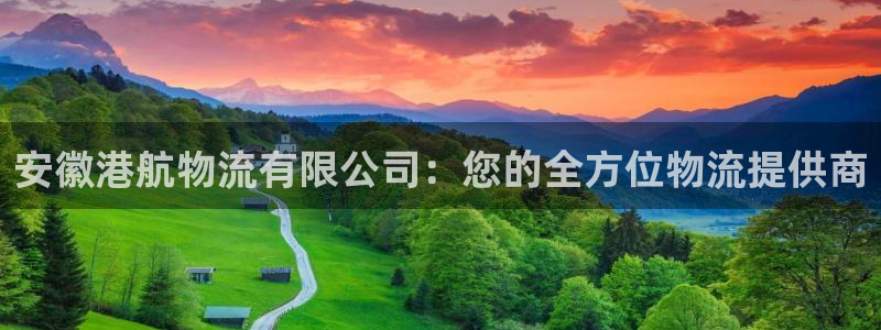 28圈反水：安徽港航物流有限公司：您