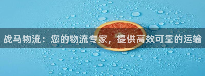 28圈充值不处理会怎么样：战马物流：