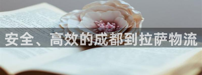 28圈加拿大技巧：安全、高效的成都到